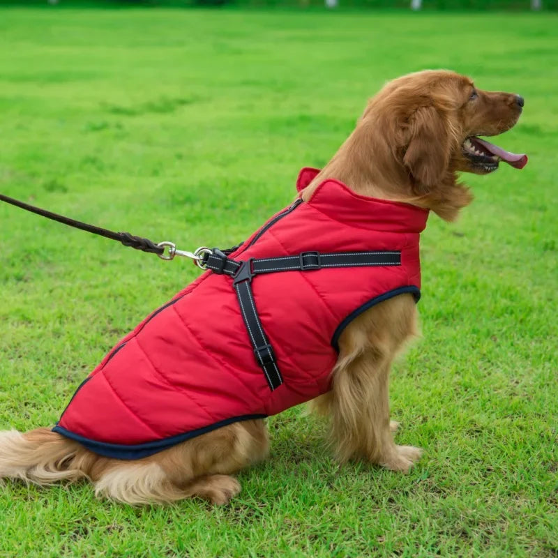 Snowy Snuggles Dog Jacket